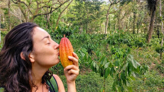 Leonie kust cacao peul