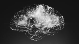 Neurovoeding: voeding voor je hersenen