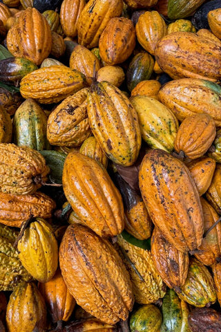 Cusco - 100% cacao uit Peru